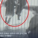 “쳐다 본것 뿐인데”…결혼 2주년 ‘날벼락’, 남편에 너클주먹 날린 10대[영상] 이미지