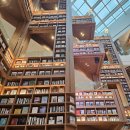 스타 사우나 이미지