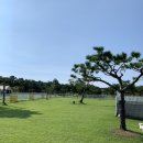 파라독스글램핑 이미지