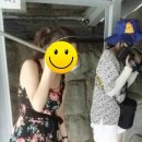 래미안유치원 | 부여여행 여름휴가