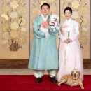 뉴욕동물병원 이미지