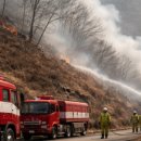 야산마을진입로 이미지