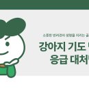 미유펫동물병원