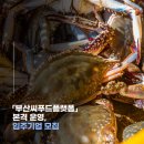 부산씨푸드플랫폼 이미지