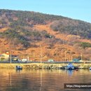 BBQ남해설천점 이미지