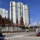 UR(당진시)-[원당로]-상-3 | [당진]서서갈비 돼지갈비 가족모임 내돈내산