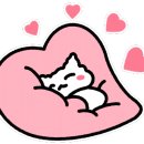 모든날오토캠핑장 이미지