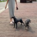 행복을 배우는 공간 이미지