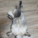 백은경내과의원 이미지