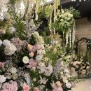 강남회관 | 포시즌앤강남 도곡 군인공제회관 웨딩 뷔페 / 하객 후기 / 웨딩홀 장단점