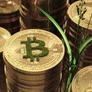 고래리퍼블릭 이미지