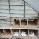 옥계 백봉이네 이미지