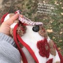 모리동물병원 이미지