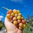 (주)네오게임즈 이미지