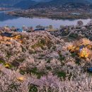 매화꽃필무렵 민박 이미지