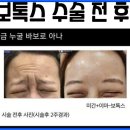 판떼기 이미지