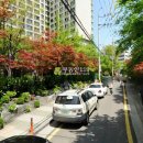 스위트팰리스오피스텔 이미지