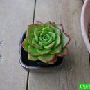 물댄동산 - 순천시 삼동길 8 | 물댄동산