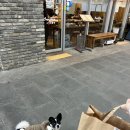 Hi,댕댕 | 1월의 후츄츄💖