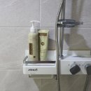 와니헤어(Wani hair) | (공구) 탈모완화샴푸 바베노샴푸+헤어팩/바디워시 SET 공구