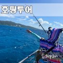 사이판 여행 호핑투어 배낚시 스노쿨링 거북이 가오리 아이스크림 포인트