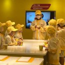 금일 태권도장 | 부산 아이와 함께 가볼만한곳 :태권도장 캠프 부산키자니아 후기