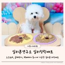 바른의수족제작연구소 | 실리콘연구소실리킹릭매트브런치슬로우식기 강아지,고양이릭매트