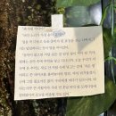 서울이 좋긴 하더라