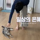 찰리팜하우스
