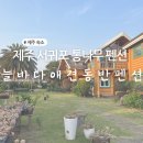 제주도 애견동반 펜션 추천 통나무 숙소 늘바다 애견동반펜션