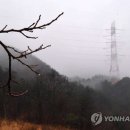 전국 적신 빗방울에 봄기운 촉촉…관광지 발걸음 &#39;한산&#39; 이미지