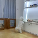 아우어패밀리 이미지