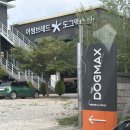 카페어썸 - 금천구 가산디지털1로 131 | 남양주 3000평 애견카페 추천 후기 | 어썸브레드 도그맥스점