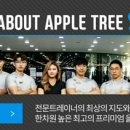 세인트피트니스 네이버블로그