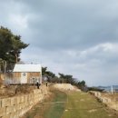 [제부도] 제부도 분위기 좋은 애견동반 카페 오솔길 | 애견운동장, 캐빈 이용 후기