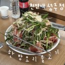 하나게임랜드 | 경북 성주 맛집 한방 오리 불고기 천년애 성주점 다녀온 후기