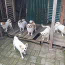 사랑나눔터 이미지