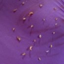 상남동211 이미지