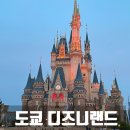 도쿄 디즈니랜드 공항에서 바로 간 입장 후기 DPA 퍼레이드 꿀팁