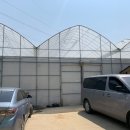 가보농장 이미지