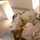 다이너스티 웨딩뷔페 이미지