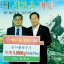 법무사유석권