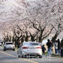 주산초교 이미지