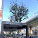 [내돈내산] 장염에 만난 오사카 인생 스시 | 스시 사카바 사시스 오사카 맛집 추천