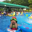 뒷골농장 이미지