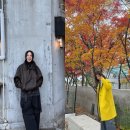 신애식품 | "50대 되니 덜 먹어도 살쪄요" 엄정화 신애라가 찾은 공통 해답 이것