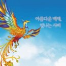 축제로 만나는 부여 여행 이미지