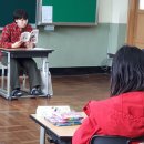 금성초 이미지