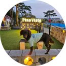 보령애견동반펜션 피노비스타 이미지