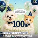 7세 이상 강아지 노화 케어, 말랑한 윌로펫 뉴트리탑 시니어 사료와 시니어 종합영양제 꿀조합